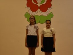 mini-aaa_6066