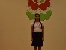 mini-aaa_6120