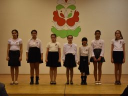 mini-aaa_6136