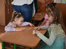 mini-aaa_5601