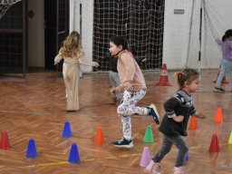 mini-aaa_5654